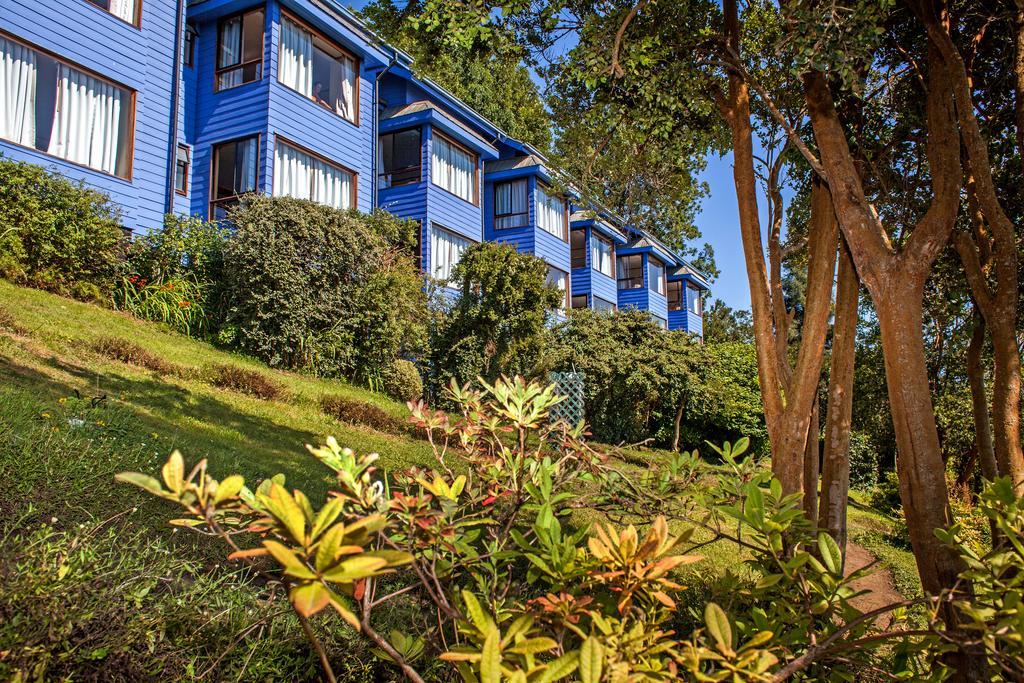 Hotel Elun, La Mejor Vista Frutillar Exteriör bild